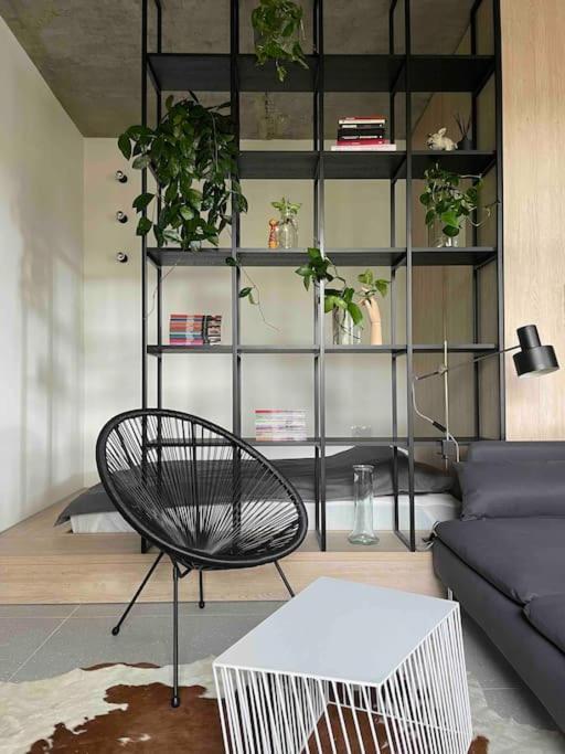 Apartment Pilsudski Wroclaw